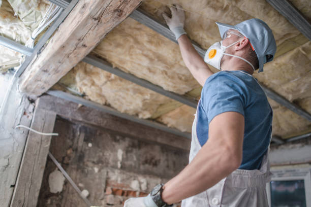 Trusted Wahneta, FL Insulation Contractor Experts