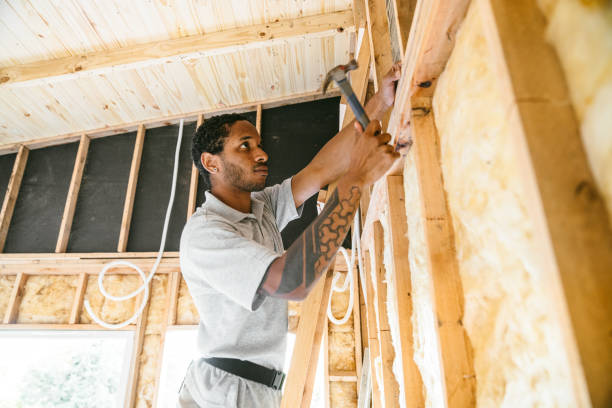 Best Crawl Space Insulation  in Wahneta, FL