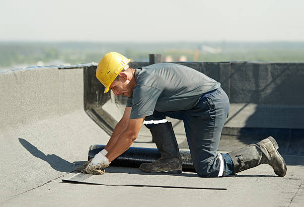 Best Fiberglass Insulation  in Wahneta, FL