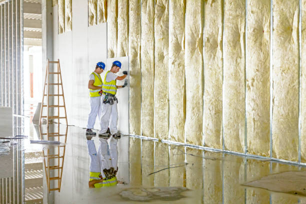 Best Insulation Replacement Services  in Wahneta, FL